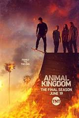 Animal Kingdom (2016) poster