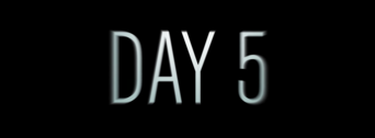 Day 5