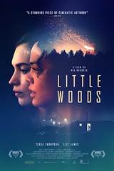 Little Woods (2018) poster
