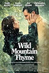 Wild Mountain Thyme (2020) poster