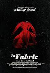 In Fabric (2018) poster
