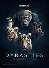 Dynasties