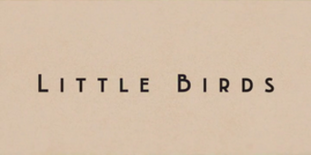 Little Birds