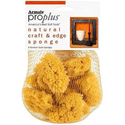 Armaly ProPlus: Natural Craft & Edge Sponges - 6ct Random Sizes, Multi-Use Soft Tool, Pottery, Corners, Faux Finishes, Color Washing, Biodegradable