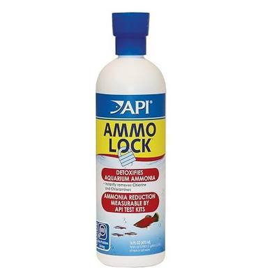 API AMMO-LOCK Freshwater and Saltwater Aquarium Ammonia Detoxifier 16-Ounce Bottle | For Freshwater and Saltwater
