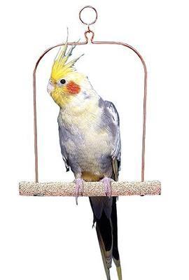 PENN-PLAX Bird-Life Trimmer Plus Cement Bird Swing – Naturally Trims Nails & Beak – Assorted Colors – 7” Wide