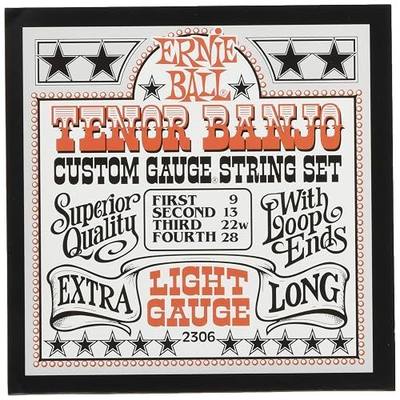 Ernie Ball Light Stainless Steel Tenor Banjo Strings, 9-28 Gauge (P02306)