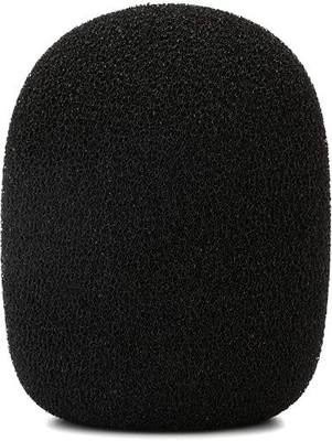 Rode WS2 Microphone Pop Filter/Wind Shield for NT1-A, NT2-A, NT1000, NT2000, NTK, K2 and Broadcaster Microphones