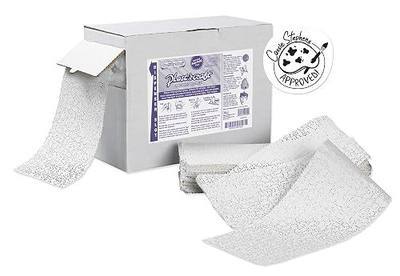 Plast'r Craft Nontoxic Plaster Craft Strips