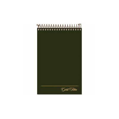 Ampad Gold Fibre Steno Book, 6" x 9", Gregg Rule, Green Cover, 100 Sheets, 1 Count (20-806R)