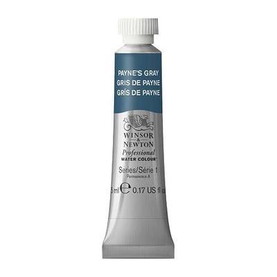 Winsor & Newton Professional Watercolor, 5ml (0.17-oz) Tube, Payne's Gray