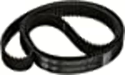 Gates T307 Premium Automotive Timing Belt