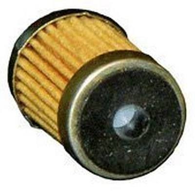 WIX 33051 Fuel Filter Replacement Compatible with General Motors GM Family of Cars (76-80), Jeep (80-83) In-Carburetor