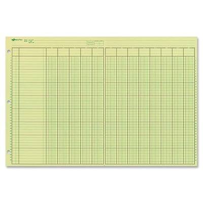 National Analysis Pad, 13 Columns, Green Eye-Ease Paper, Numbered Lines, Side-Punched, 11" x 16.375", 50 Sheets (45613)