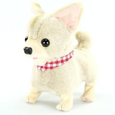 Chi-Chi Chihuahua