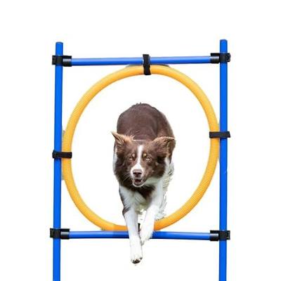 TRIXIE Dog Agility Ring Jump | Portable Dog Hoop - Agility at Home, Dog Obstacle Training Equipment