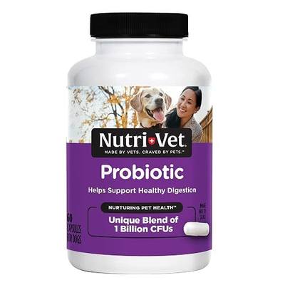 Nutri-Vet Probiotics for Dogs, Dog Probiotics, Immune Health, 60 Count | Probiotic for Dogs, Dog Probiotic Supplements, Digestive Health, Gut Health, Immune Support, Vet Formulated