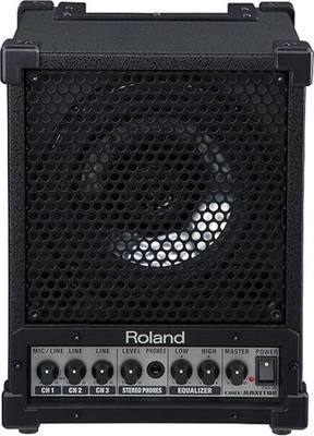 Roland Cube Monitor/PA