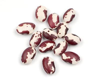 Anasazi® Beans, 25 lb Bulk – Heirloom Dried Southwest Speckled Bean, Pinto Alternative Bulk by Woodland Gourmet