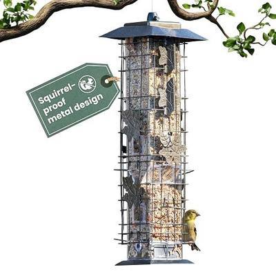 Perky-Pet 336-1SR Squirrel-Be-Gone Squirrel Proof Bird Feeder, 2LB, Outdoor Wild Bird Feeder with Weight-Activated Perches