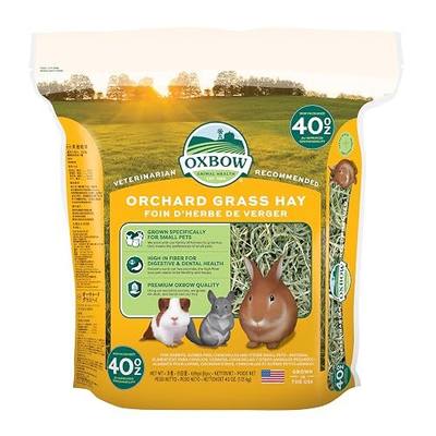 Oxbow Orchard Hay, Rabbit & Guinea Pig Hay, Hand-Sorted, De-Dusted, 40 oz | Hand-Sorted, De-Dusted, Oxbow Orchard Grass Hay, Bunny Hay For Rabbits, Guinea Pigs, Bunnies and Chinchillas, Made in USA