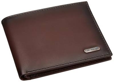 Nautica Men's Crunch Passcase Wallet with Removable Card Holder