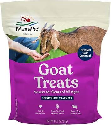 Manna Pro Goat Treats, Licorice Flavor, Nutritious Goat Snacks with Oatmeal, Great Goat Supplements Alternative, Ideal for Goats, Sheep & Small Livestock, 6 lb