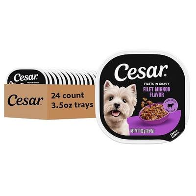 Cesar Filets in Gravy Wet Dog Food, Filet Mignon Flavor, 3.5 oz, 24 Count | Real beef, easy to digest, no fillers, no added sugar, no artificial flavors, slow-cooked tender texture, easy peel trays