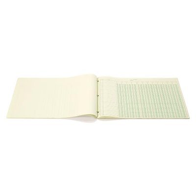 Wilson Jones Columnar Pad, ColumnWrite, 11" x 16-3/8 , 12 Columns, 50 Sheets per Pad (WG7212A), Green
