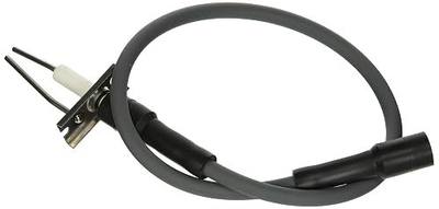 Hayward IDXIGN1930 Igniter for H-Series Heater