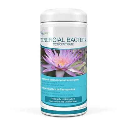 Aquascape Beneficial Bacteria Concentrate for Pond and Water Features, 1.1-Pound, 98949
