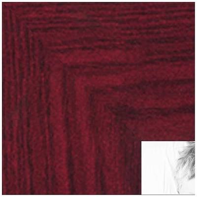 ArtToFrames 20x28 inch Rich Mahogany Frame Picture Frame, WOMFRBW74039-20x28