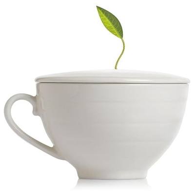 Tea Forte Café Cup with Lid, White, 8 oz | Porcelain Cup & Lid - 8 oz Capacity - Microwave Safe - Dishwasher Safe - Elegant Tea Mug