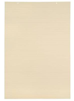 School Smart Jumbo Manila Tag Ruled Chart Paper, 36 x 24 Inches, Pack of 100 - 006435