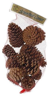 Winter Woods Cinnamon Scented Pinecones 12-14/Pkg, Large