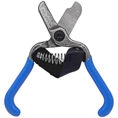 Zenport H322 Fruit Shears/Lemon Citrus Clippers with Strap, Forged Stainless Steel, 5.5-Inch Long