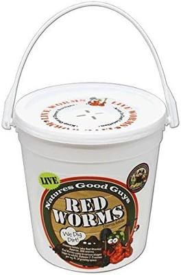NaturesGoodGuys Live Redworms Composting Red Worms - 300 Red Wigglers