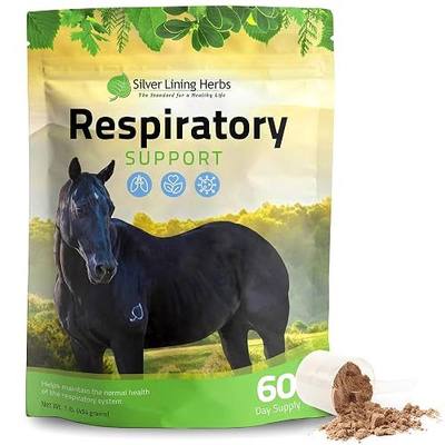 Silver Lining Herbs Respiratory Lung Support for Horses - 1 lb | Lung Support For Horses, Mullein, Echinacea & Garlic, Respiratory & Clear-Airway Support, 1 lb, NASC Certified, Made in USA