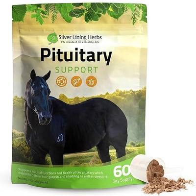 Silver Lining Herbs Horse Pituitary Gland Supplements - 1 lb | Pituitary Gland Supplements for Horses, Barberry, Burdock & Kelp, Shedding, Coat & Metabolism Support, 1 lb, Made in USA