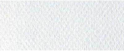 Canson Mi-Teintes Pastel Paper, White, 19.5" x 25.5", Acid-Free, 98 lb. (160gsm), 10 Sheets/Pack