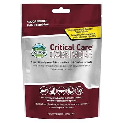 Oxbow Critical Care Carnivore, Recovery Food For Cats & Ferrets, USA, 70 g | High-Calorie, Assist Feeding Formula, Whole Egg, Dried Chicken, Cats, Ferrets, Birds, Reptiles, Recovery Food, Vet Formula