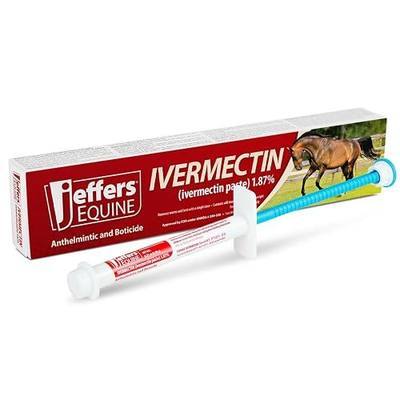 Jeffers 1.87% Ivermectin Gel Dewormer for Horses | Apple Flavored | 1 Pack