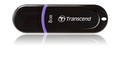 Transcend 8GB JetFlash 300 Flash Drive (TS8GJF300)