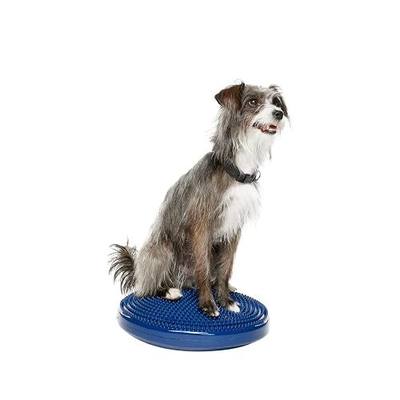 FitPAWS® Dog Balance Disc – 14”, Blue | Dog Exercise Equipment | Workout Tool for Strength, Core, Stability & Rehabilitation