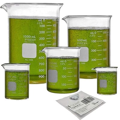 Corning Pyrex Griffin Low Form Corning Beaker Set (Set of 5)