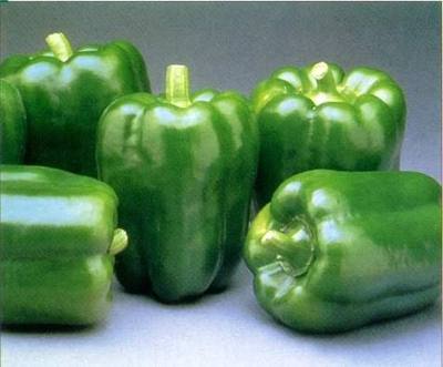 GREEN BELL PEPPERS FRESH FRUIT PRODUCE VEGETABLES BY THE POUND