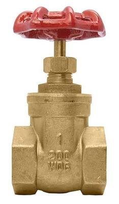 1" Brass Gate Valve - 200WOG, FxF NPT