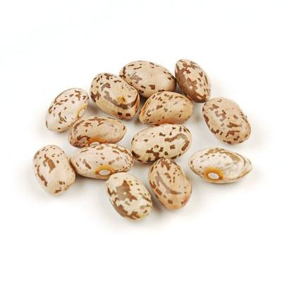 Organic Pinto Beans, 25 Pound Box