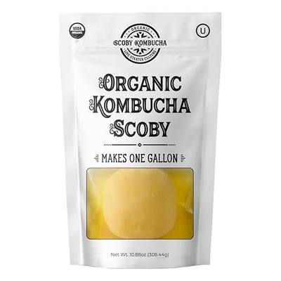 1 X Organic Kombucha Scoby - Live Culture by Scoby Kombucha