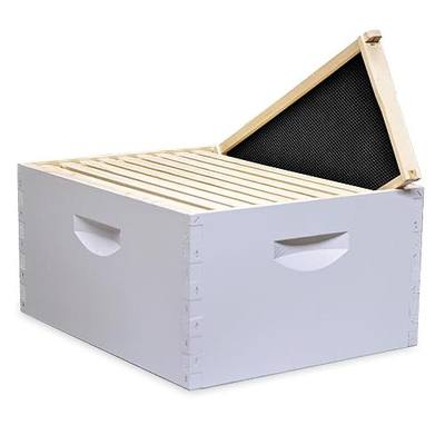 Mann Lake 10-Frame Deep Hive Kit, Fully Assembled 9⅝" Bee Hive Body with 10 Frames & Beeswax-Coated Plastic Foundation for Brood Replacement, Colony Growth & Honey Production, Made in USA, Painted